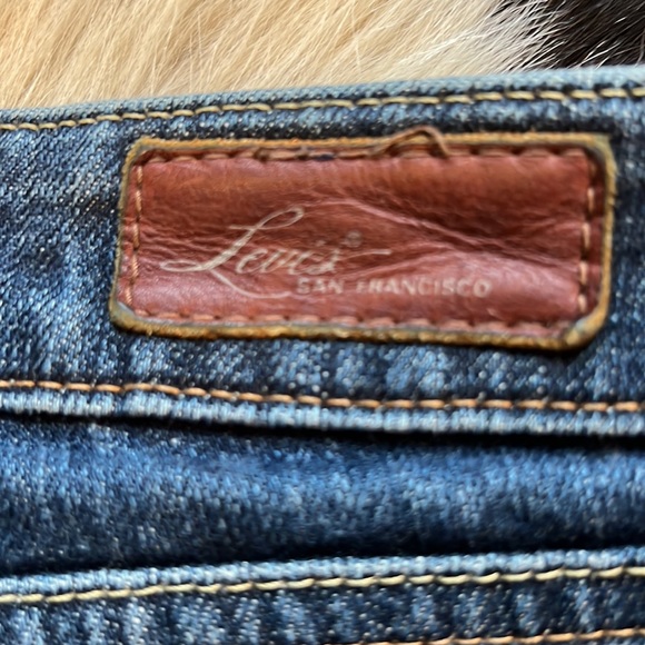 Levi - Picture 3 of 4